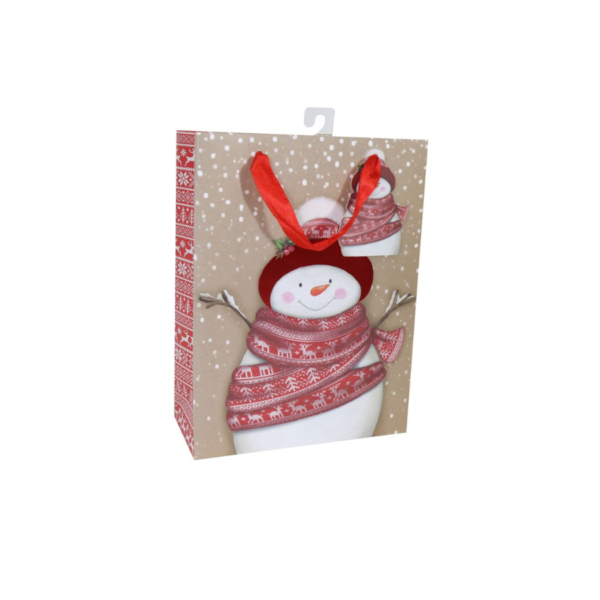Medium Assorted Gift Bags - Image 8