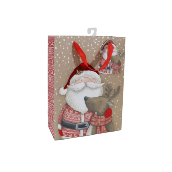 Medium Assorted Gift Bags - Image 7