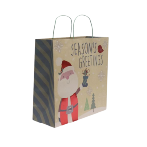 Extra Large Assorted Gift Bags