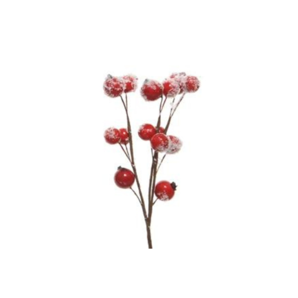 Festive Picks