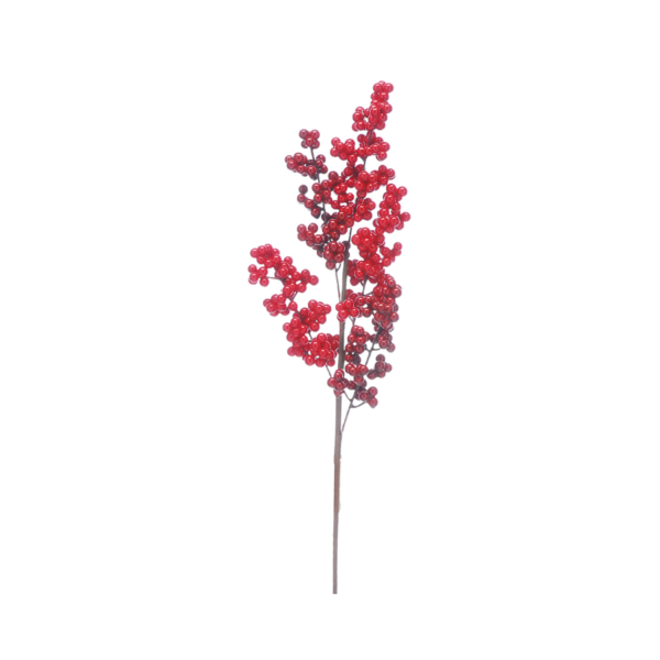 Festive Picks