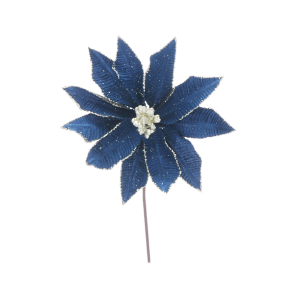 Festive Picks
