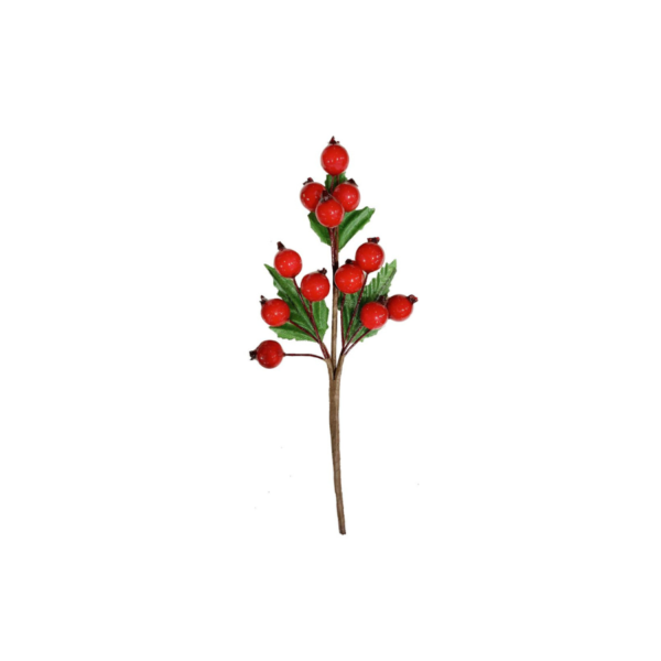 Festive Picks